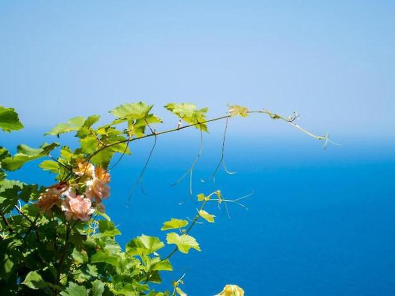 A82D90C9792CC4A2836D7190F0465CF4