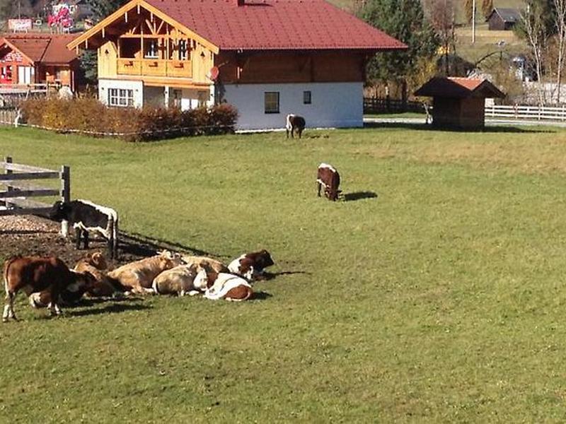 37FB6F3826432D226D31DD33172BABC3