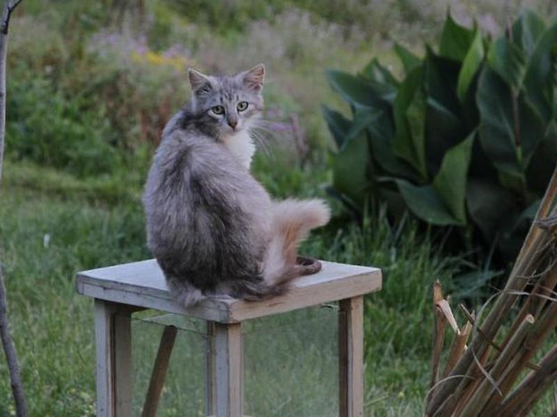 6545EB8E8D9BE308351705A0AC7DF774