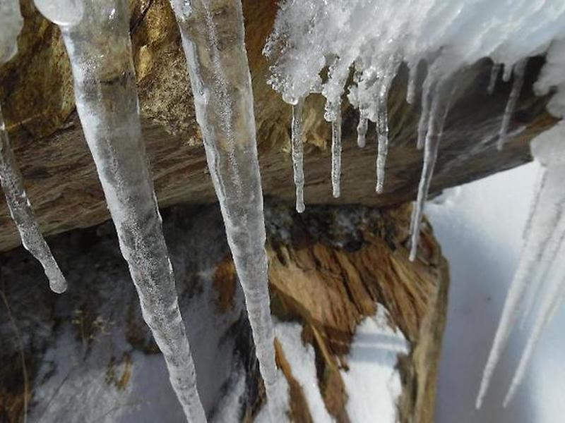 C95ABCB205ED277F6CF8A29D9B917A93