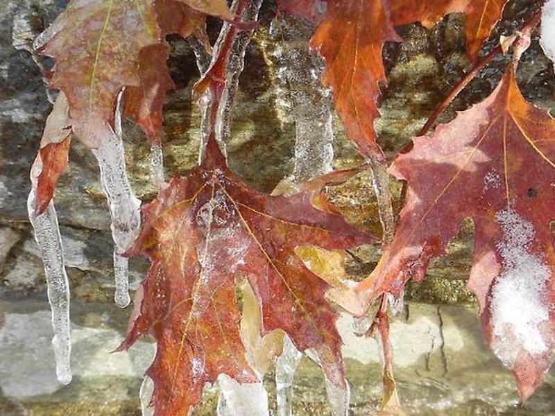 884831A03F1591C89A7A9C44512C7B36