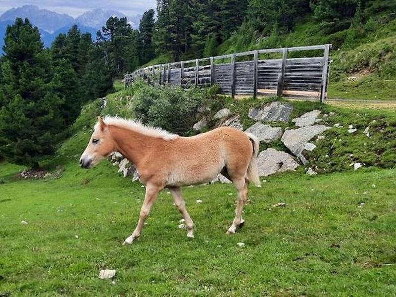 79EDF35351CF88F0935723C2D24D2B6C