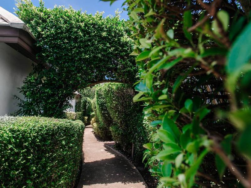 3A649459A77EEC52A1E2CD9DC3337408