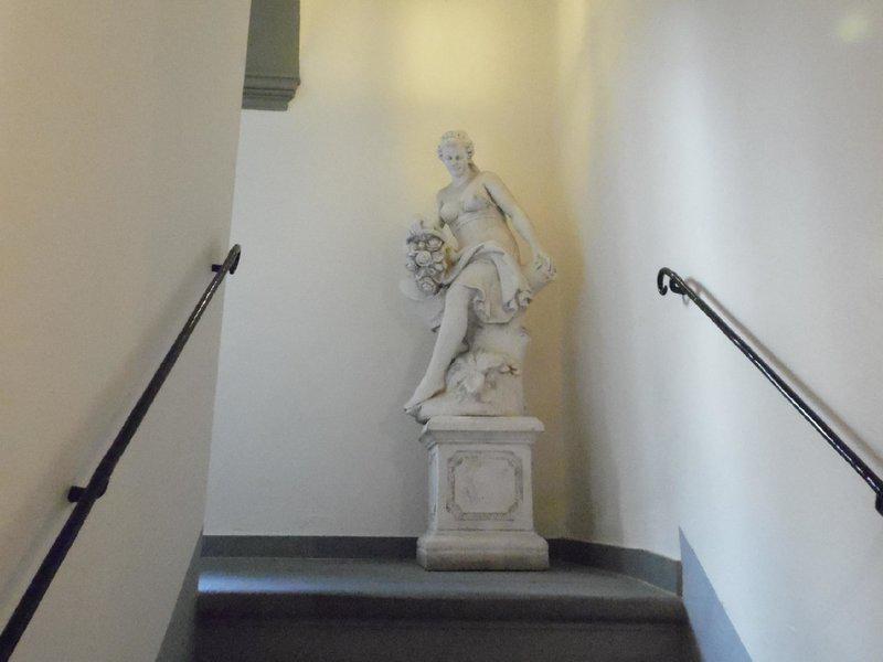 F9AF31E4E95E010115DFD5FDC53981DF