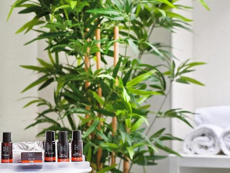 205B91B875CEBDFB08377E007A875F45