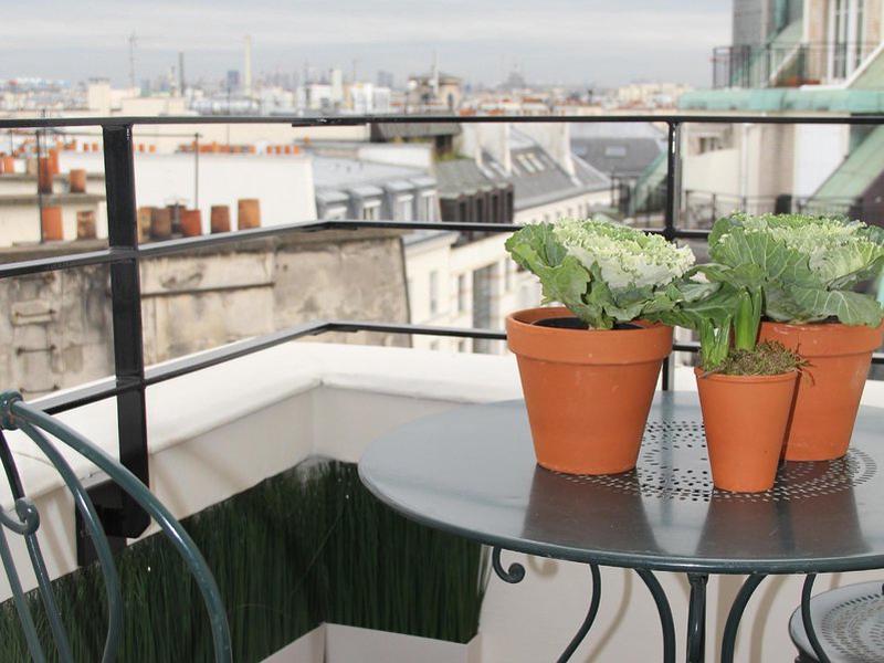 164F805FFACD3BBA6595FE2D9C1E904B