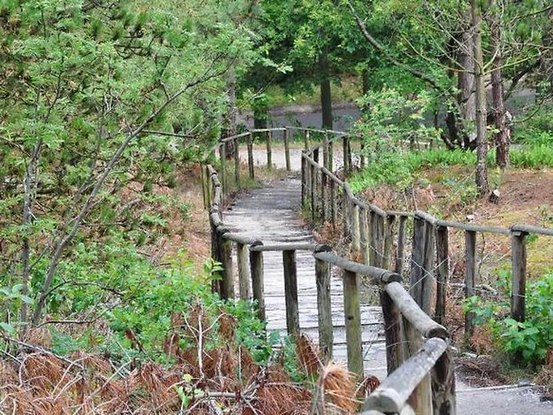 EFA76ECA792A5E6E65DAE1EF3F491132