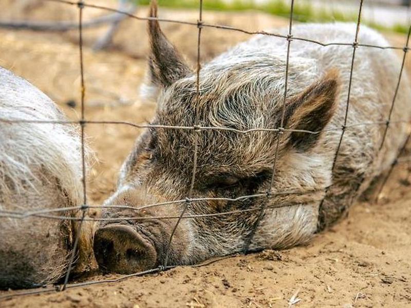 F01FF2188B62E34B1AFCF1358BC87F04