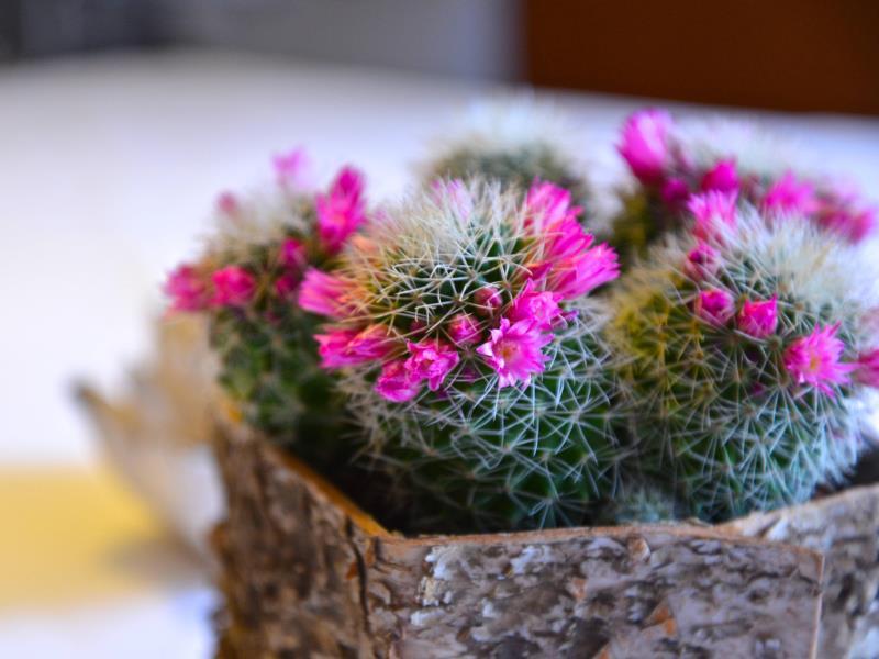 A2F2E7C9299430F18BBE2CE2CA540A2D