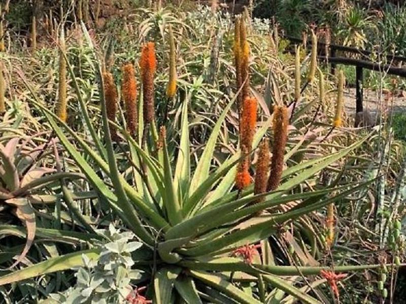 4C2A9D957B337241DD704BC0B521A036