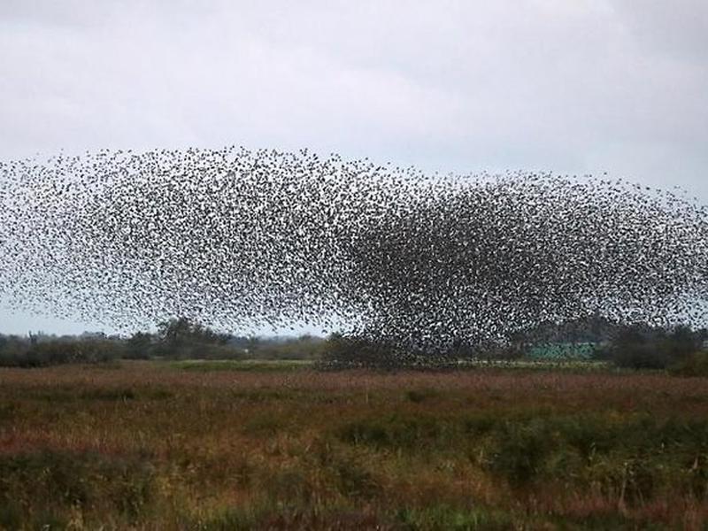 358673800148DF09EE5A673A11116583