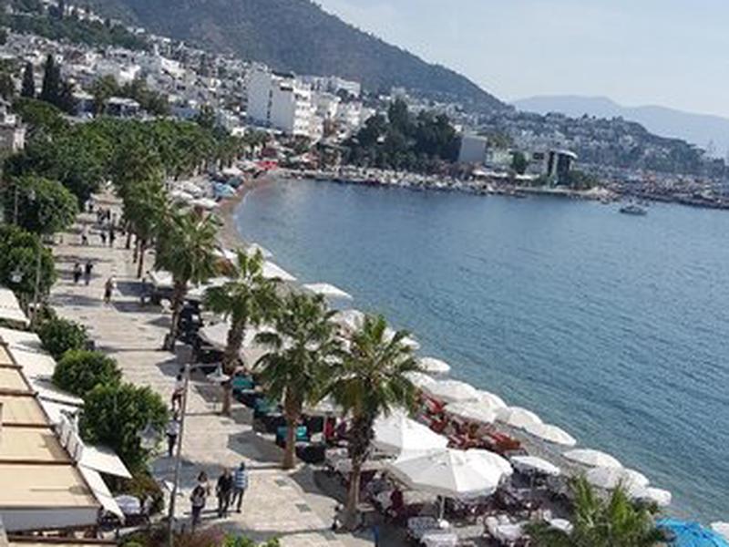 39D921774D1F4AA6EF9222119DB06F5A