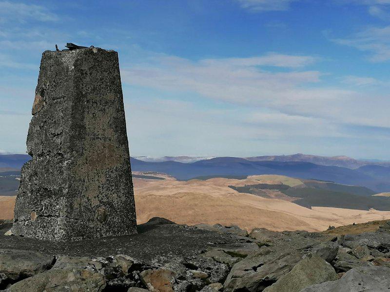 D26BDF66B3FAC89E7ED7BA0C3CDE6791