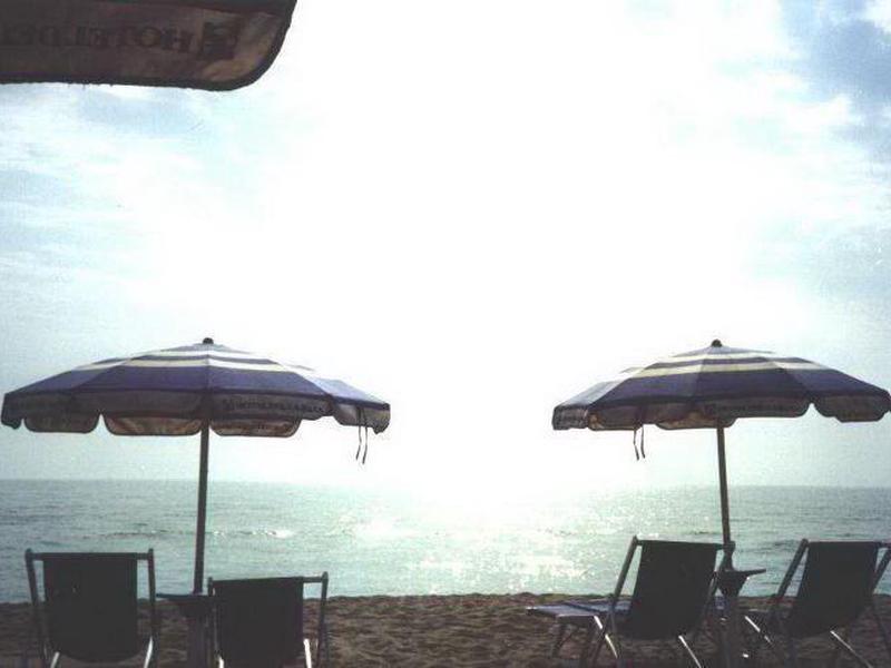 97B244AC964769683D63031F1A0BE5CA