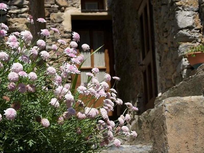 DD947D7538699C50414F3788095F687F