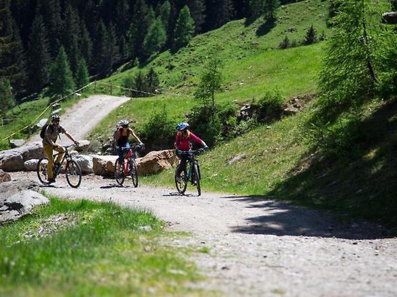 8DB4C489AD38068249D444175E068C0E