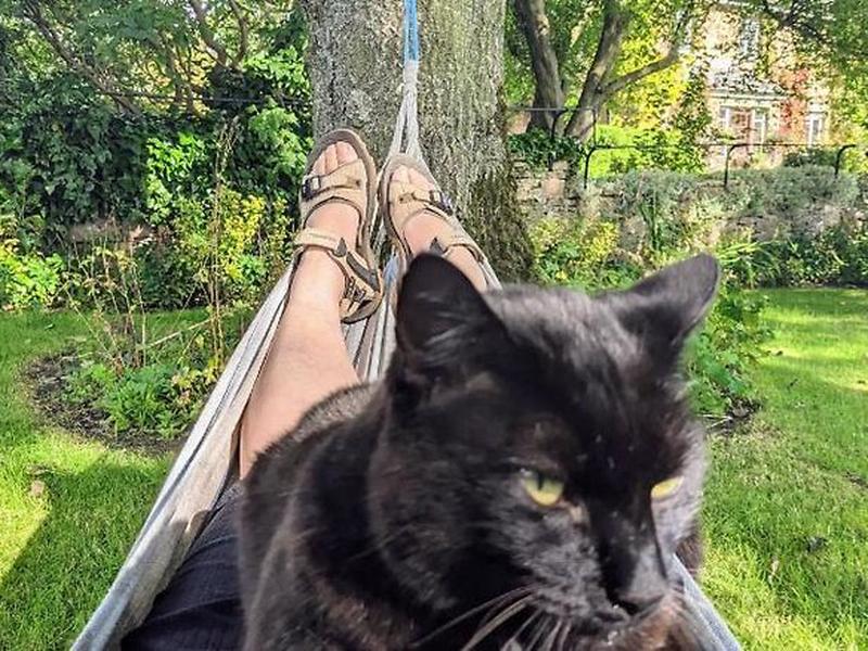 440478EAD61353E3707809D41756E0BC