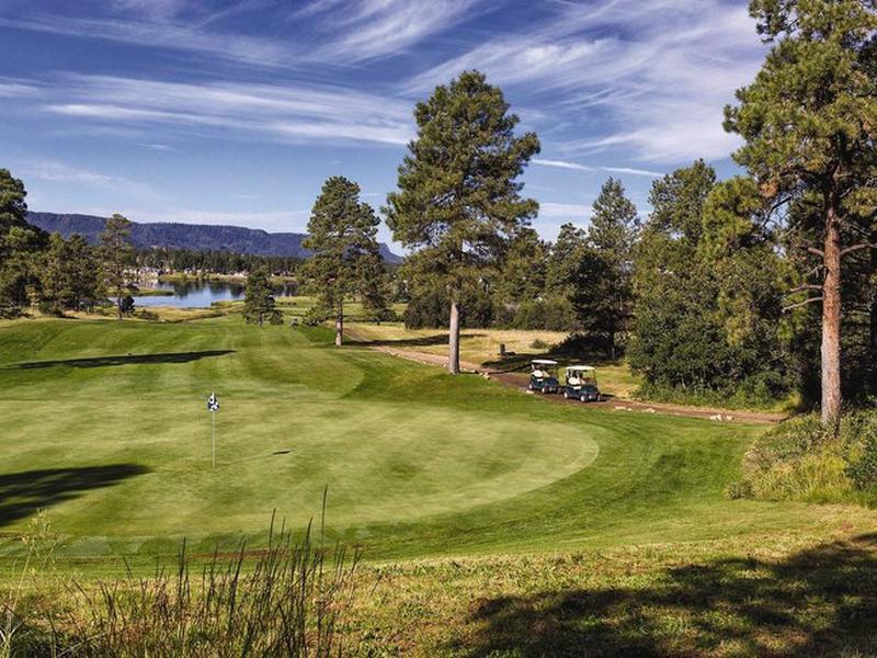 43101A99094CD7DA89C28A372251FD3A