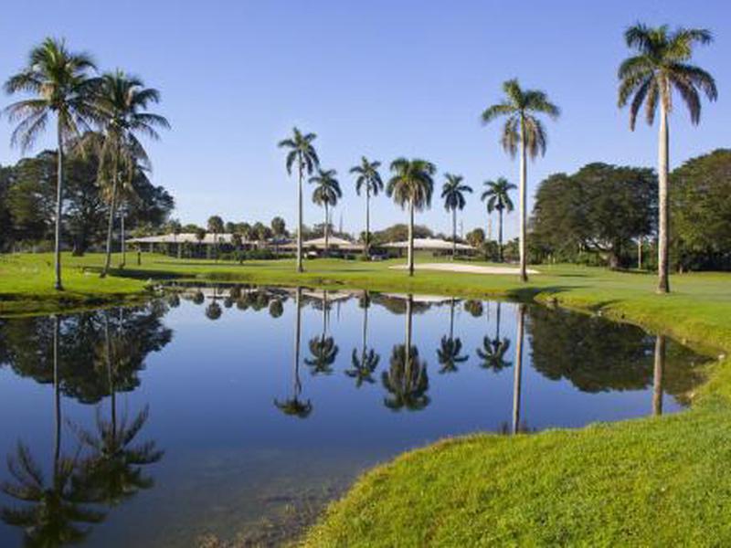 00FD43715C7FB51D141EB07A88CE3721