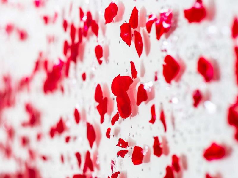 22EA1CE4115994690B386084C50AB6F3