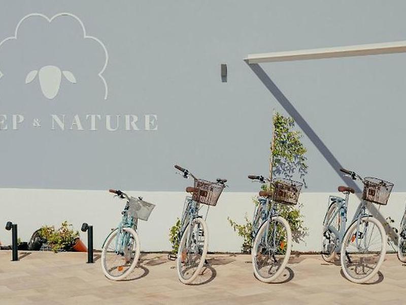 452828D99AE51D2C1ECE3BCF7B03EE53