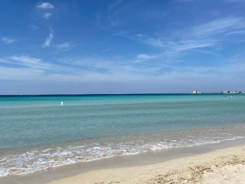 8F8FAF15BF0F399CA1CBC05B6C6530D3