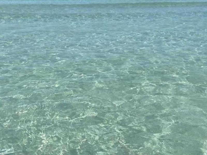 55B40474690EDD74D05421644428C6AE