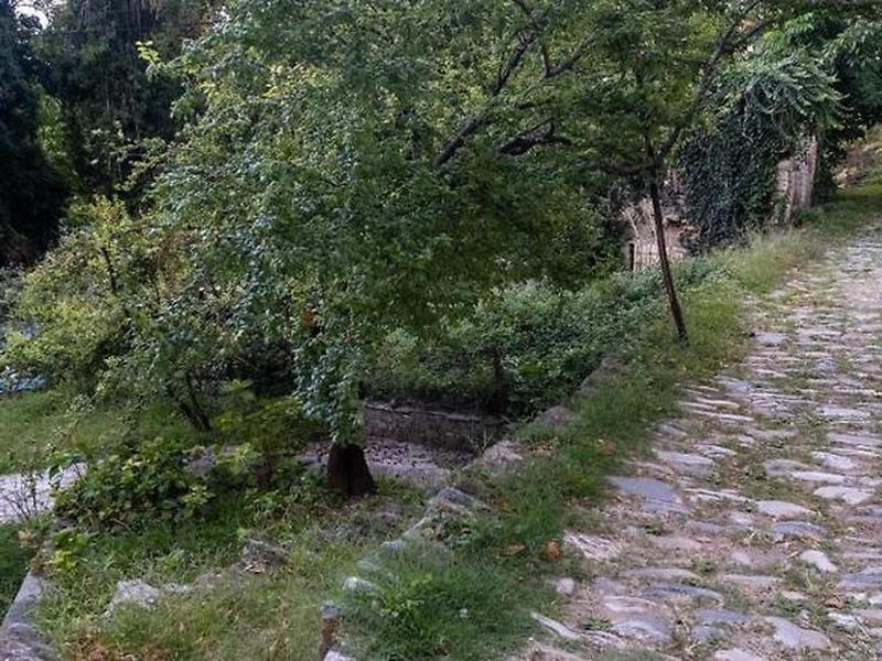 6E2AB71A363D7A882B5AEF8635CBF734