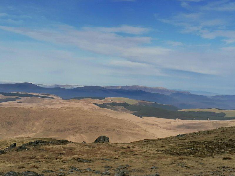 6913058BA6BAF92D9CA27795A29CFECA