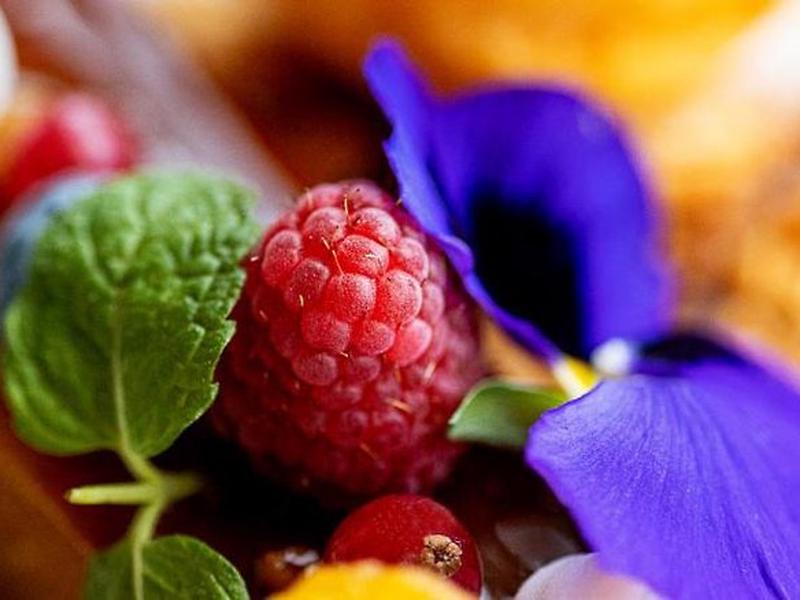 78545B4C22D26FFB1F5101AA008EE237