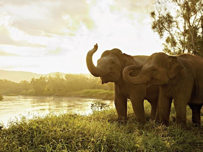 AA8148346E697F332CC21BC6AF078A85