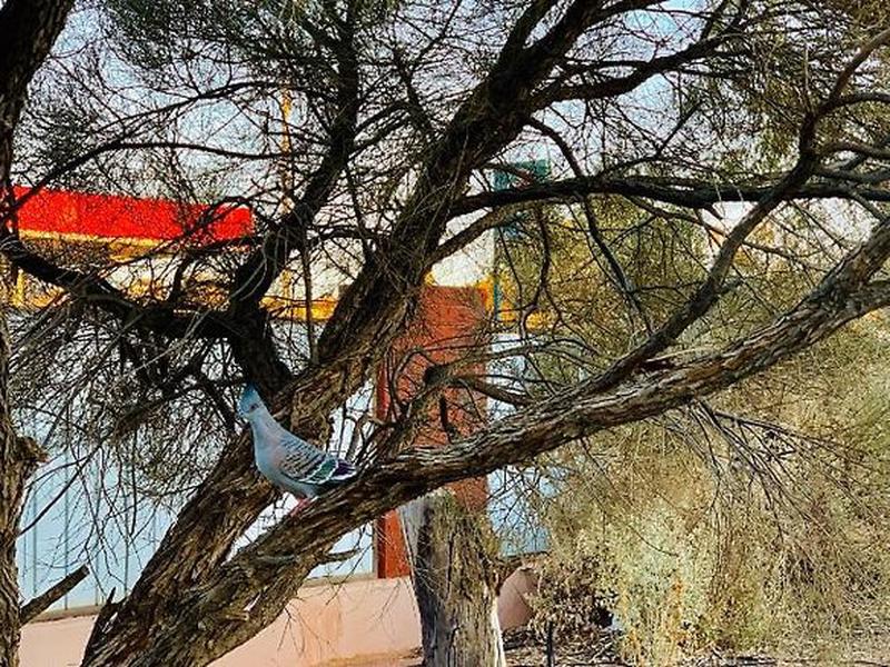 E7C96DC56CA6C0300486E69955112EE0