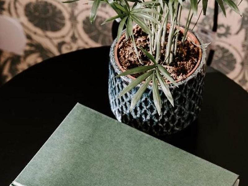 17BBE0DD2BC8E05A5C31125FA59D0C24