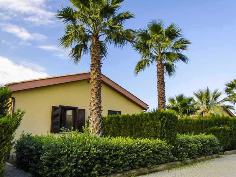 CD9CFEEDC2B7508D8442A9D27302593A