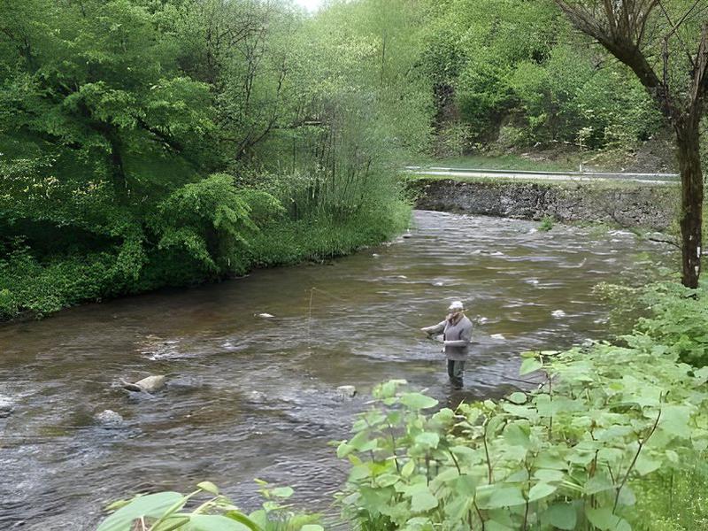 FFA947B1C617CB84CE66C12A91FB15F1