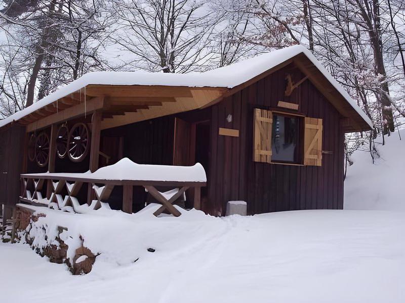 421FBEBD4B73294E155D08937DE9D811