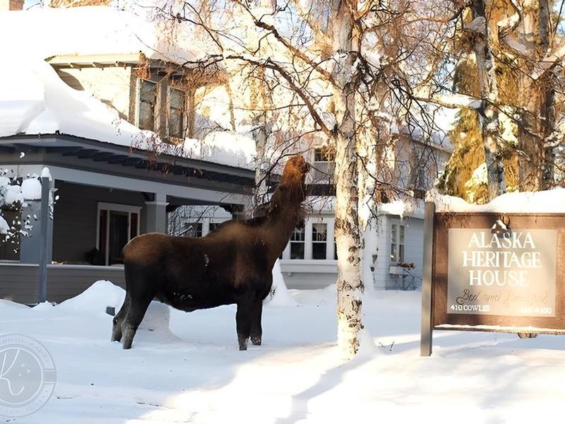 042E46C70B8EEB4DEC312DB0223B59CA