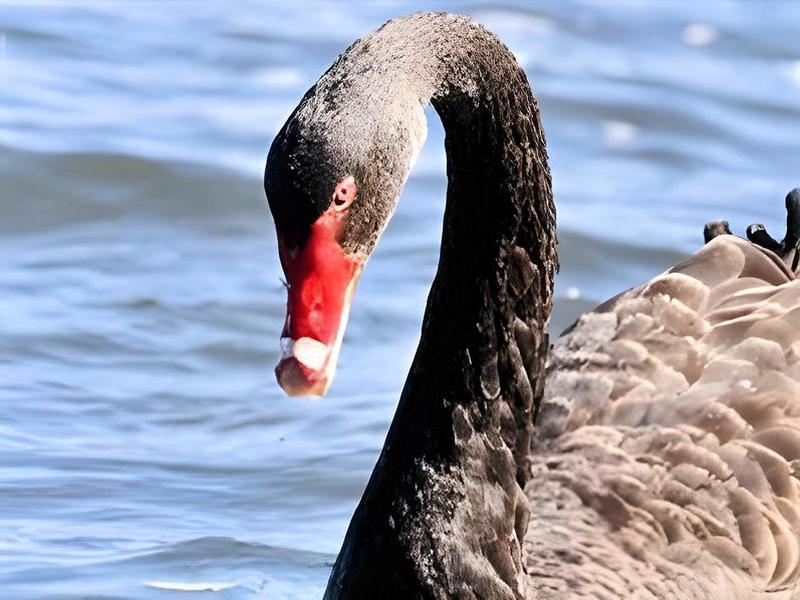 A38AA224B5A1684C05B6FDA3A9E68935