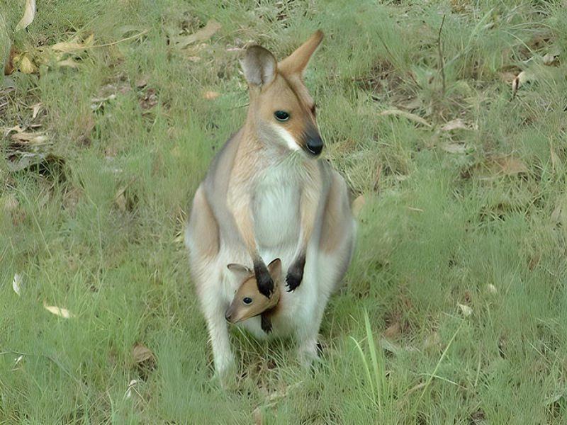 AC5EA762732EADAE036FD0EA4A03EE11