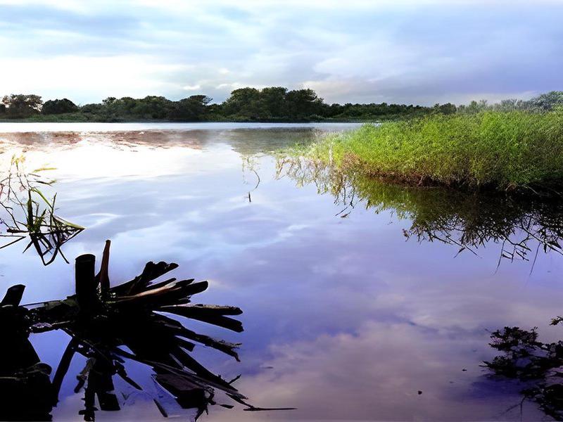 CEFB8DC8AA2EE3F1B0E0A2D552577095