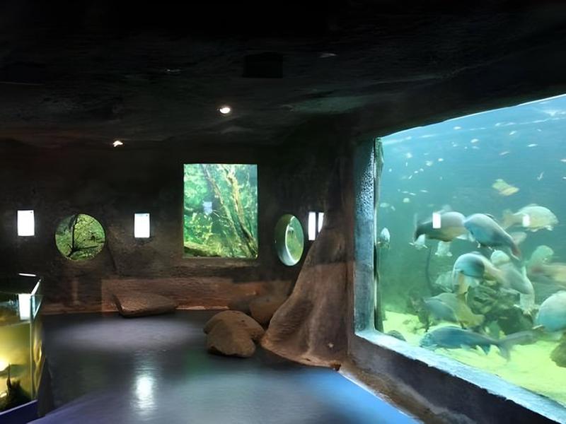 B4682DDA0657EEDD79FEE693CBA4DEBA