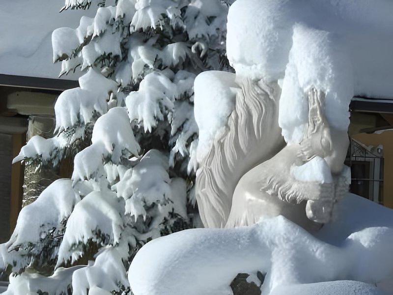 B509234635BBDC90367BC2BBE4CD3E9F