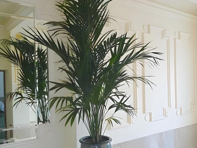 F19DEAA3EF1E890B13592F69EFD7D315