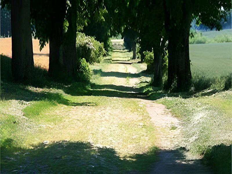 515F76BF03E304CC6AE417535BDF687A