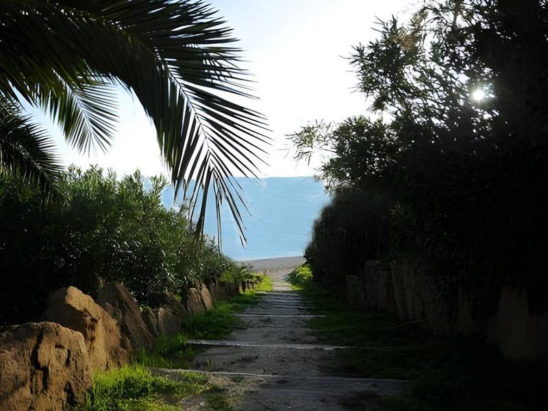 E8EB97229C0938A9529D05AF2AB95D27