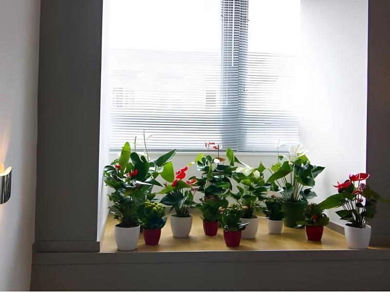 7129948CE80F5A55AE0EA7A6AF8A9BE2