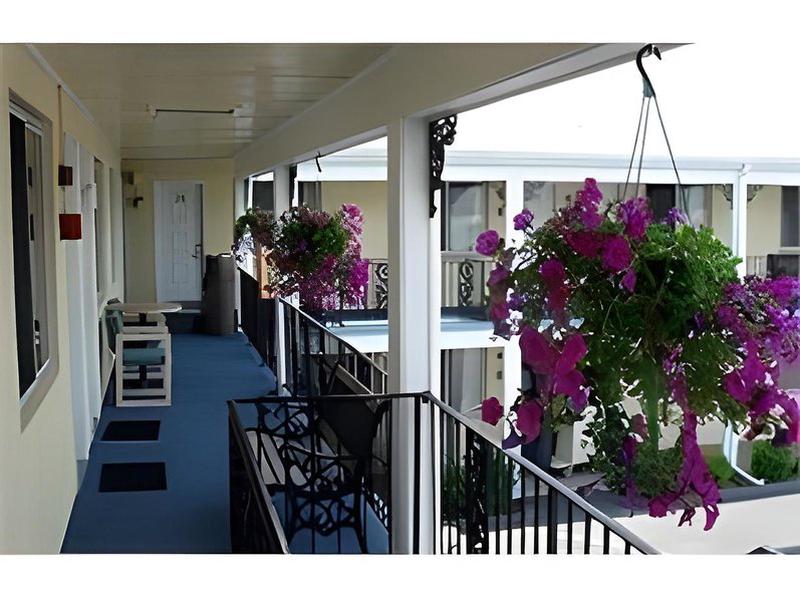 9E0C501D7355EBBCD2F13C006F37877C