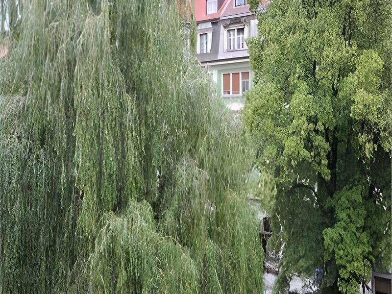 8C90F93959871ED8F3A414B2E68C1B73