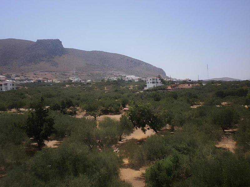 986DEA7EABADC13616A3D9E9E173E381