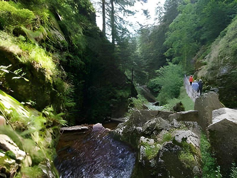 CC557ED873558755B5D440491A2AAFF4